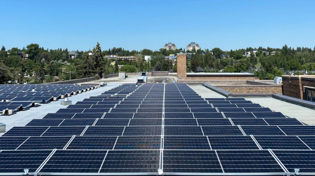 The image depicts a flat rooftop covered with rows of solar panels, with trees and buildings visible in the background under a clear blue sky.