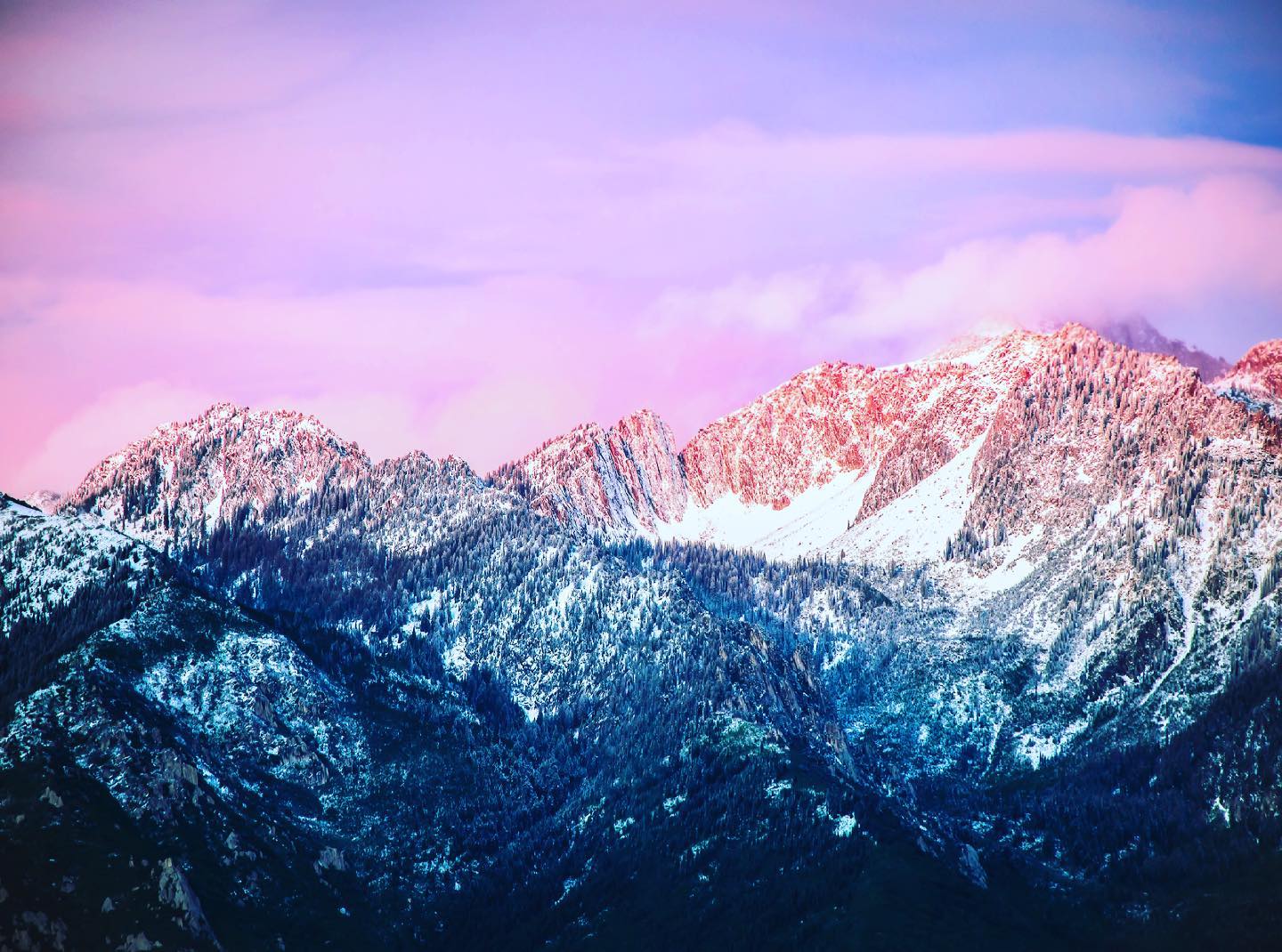 Snow-capped mountain peaks bathed in pink and purple hues of dusk or dawn with dense forests on their slopes under a soft-colored sky.