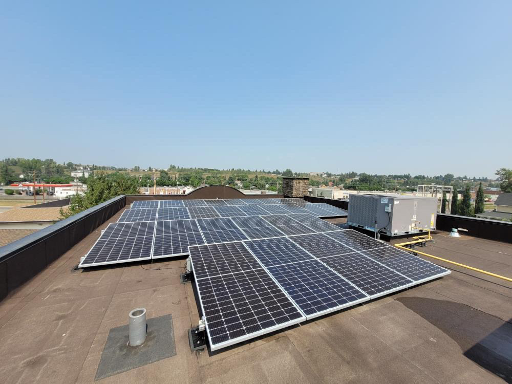 The image shows multiple solar panels installed on a flat rooftop under clear blue skies, with trees and buildings visible in the background.