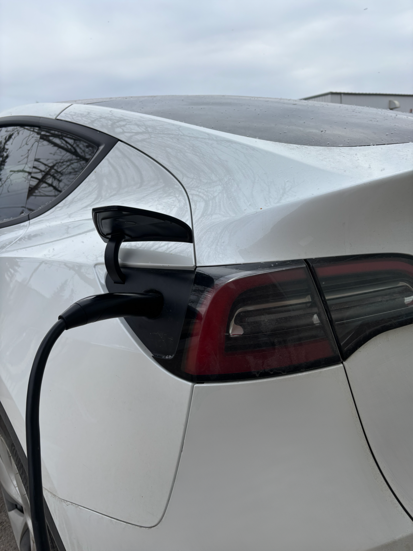 Tesla Vehicle